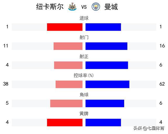 半岛体育-纽卡斯尔主场失利，需调整状态